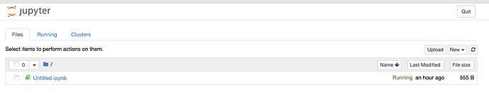 Jupyter Server alt_text
