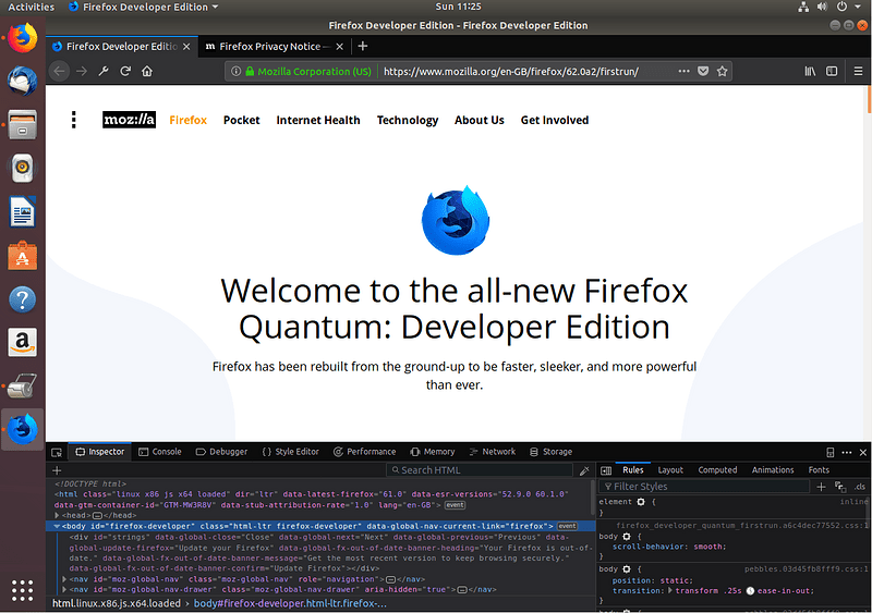 The first run of Firefox Developer Edition