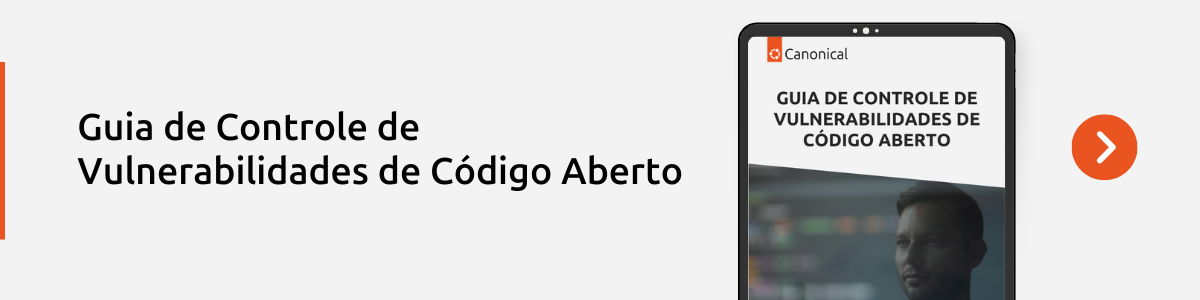 PT - Open Source Vulnerabilities Management Guide